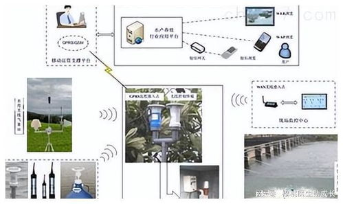 物聯網技術在水產養殖系統中提升運行穩定性的關鍵技術開發