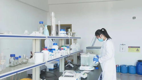 產(chǎn)學(xué)研深度融合再譜新篇 省級(jí)研究院落地泉港，驅(qū)動(dòng)區(qū)域技術(shù)升級(jí)